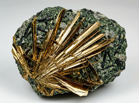 Golden brown elongated lamprophyllite crystals in radial star aggregate with black aegirine.