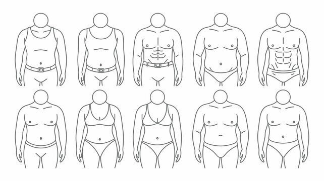 A line art illustration depicts diverse human body types showcasing variations in weight muscle definition and body shape in both genders high quality professional detailed modern