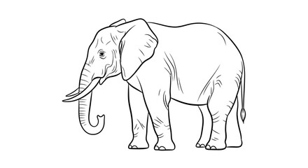 Fototapeta premium A detailed black and white line drawing of an African elephant standing on a plain surface.