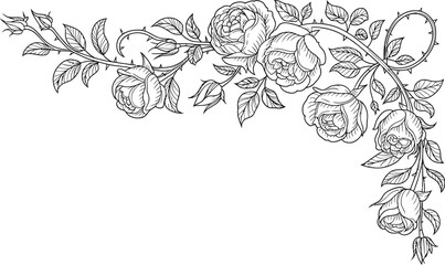Rose corner floral border line art, elegant decorative outline illustration of roses leaves and thorns forming detailed ornamental corner design. © Eva Elrod