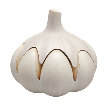 garlic isolated on white