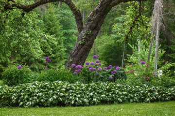 Colorful garden landscape featuring blooming purple flowers and lush greenery in a serene park setting
