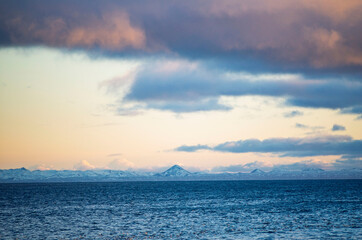 Obraz premium Flock of seagulls flying and resting on the water with snow-capped mountains in the background, Iceland