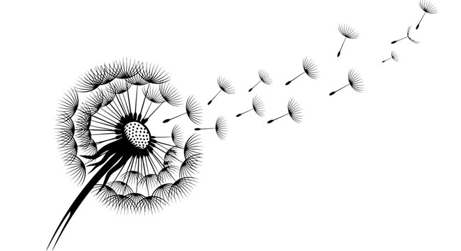 Black and white dandelion with seeds blowing in the wind. Delicate nature illustration representing wishes, freedom, hope, and new beginnings.