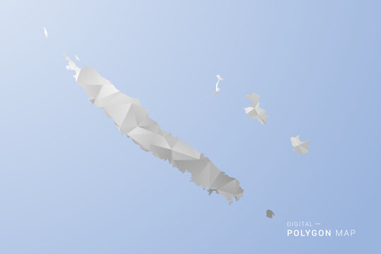 New Caledonia Map - polygon style vector illustration in gray, white and blue tone, low-poly geometric design, minimal silhouette, suitable for infographic and modern design.