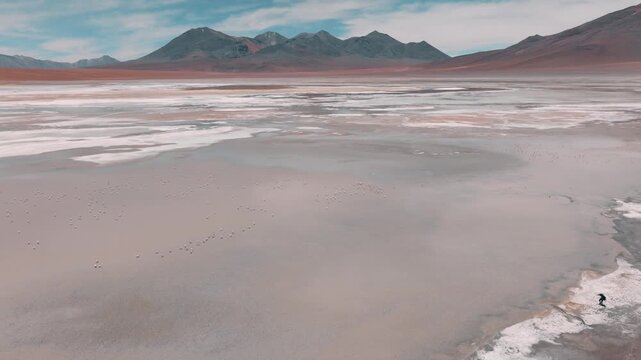 Aerial view of pink flamingos gathered on a high-altitude lagoon in Bolivia&rsquo;s Sud L&iacute;pez region, surrounded by volcanic landscapes and the Andes.