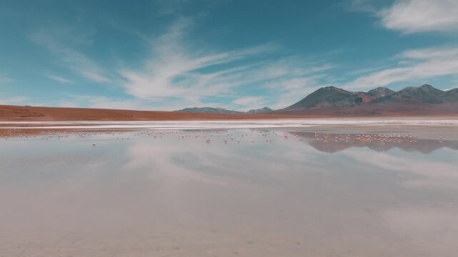 Aerial view of pink flamingos gathered on a high-altitude lagoon in Bolivia&rsquo;s Sud L&iacute;pez region, surrounded by volcanic landscapes and the Andes.