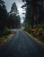 Fototapeta premium Winding Forest Road on an Overcast Day.