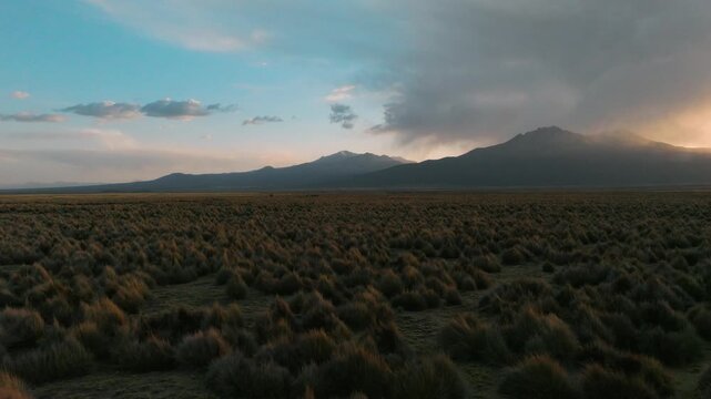 Aerial sunset over Sajama plains in Bolivia, warm golden light illuminating vast Altiplano landscape. Minimalist scenery with long shadows and dramatic sky.