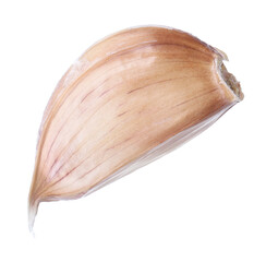 One fresh garlic clove isolated on white