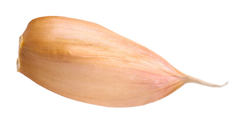 One fresh garlic clove isolated on white