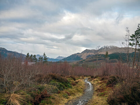 Ben Lomond from the West Highland Way approaching Rowardennan, Eastern shore of Loch Lomond, Scottish Highlands.