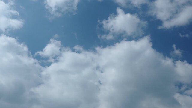 春の空と雲を見上げてパン05