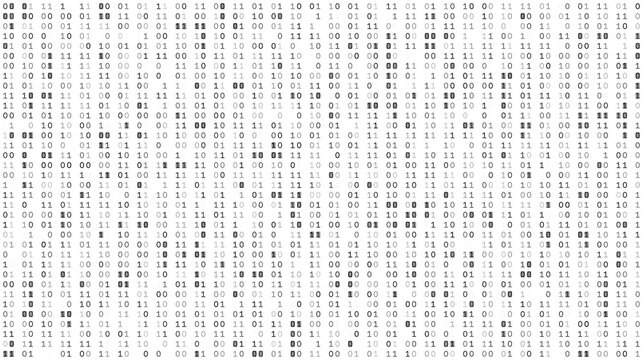 Monochrome Bitstream Array - Precise Binary Logic Distribution and Data Infrastructures