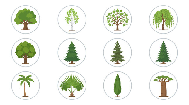 Collection of various types of trees depicted in a flat vector illustration style, showcasing diverse foliage and botanical forms for design purposes