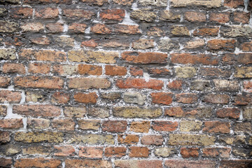 Fototapeta premium Bruges old brick wall texture background showing weathered bricks