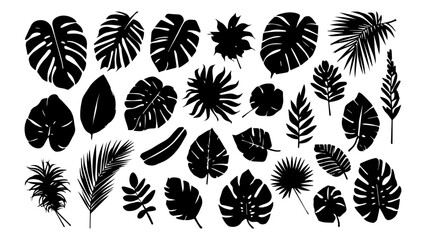 Naklejka premium A collection of various tropical plant leaves in silhouette, showcasing diverse shapes and textures.