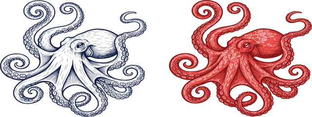 Set of two vintage engraved octopus illustrations featuring intricate hand-drawn line art and cross-hatching in deep navy blue and terracotta red on white. © Selim Studio
