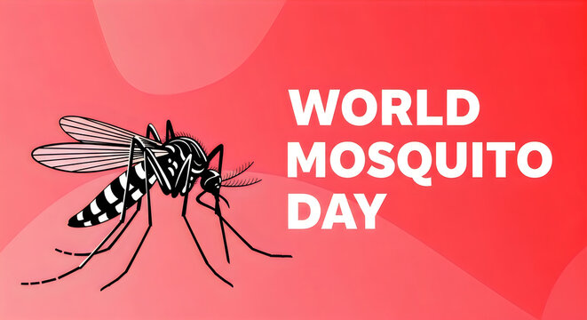 World mosquito day awareness campaign