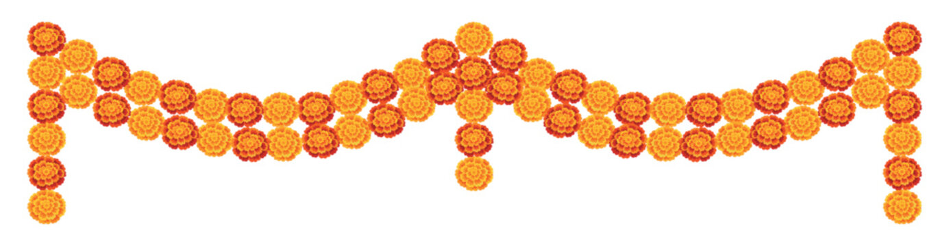 Yellow orange marigold flowers border. Indian traditional floral festive garland toran. Zendu flowers isolated on background. Party decor. Halloween, Dia de los Muertos holiday. Vector illustration