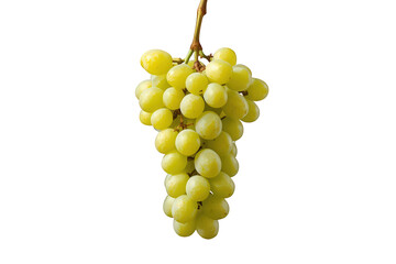 Green grapes bunch hanging, fresh fruit for healthy eating and natural nutrition, vitamin rich snack with transparent background
