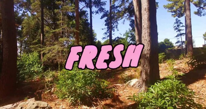 FRESH graphic shifting colors and drips in pine woods, camera push revealing road for ads