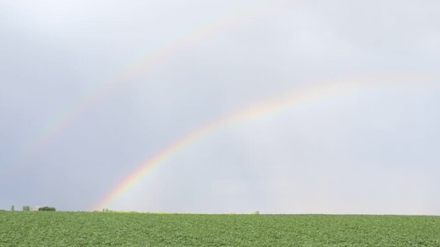 Beautiful rainbow arc over a lush green field. This natural wonder is excellent for themes of hope, beauty, weather, and agricultural landscapes.