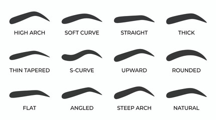 Set of twelve eyebrow shape silhouettes with text labels for brow styling on white background, concept for professional makeup artist guide, beauty salon services and cosmetic education