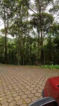 dirigindo em na estrada, na cidade de Araponga, regi&atilde;o da Serra do Papagaio, Estado de Minas Gerais, Brasil