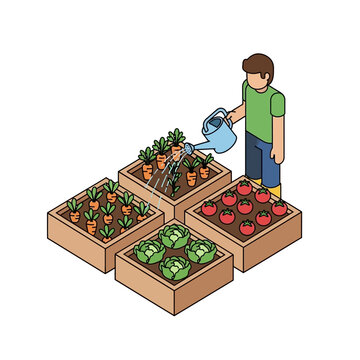 Isometric view of a person watering vegetables in a raised garden bed.