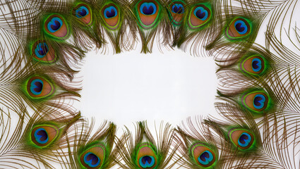 Obraz premium Decorative Frame of Peacock Feathers with Central Copy Space on White Background