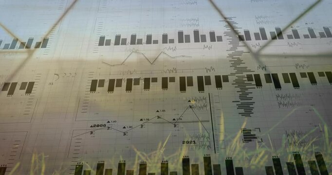 Semi-transparent charts appearing when first bars emerge expanding tiling showing trends over hills