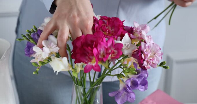 Woman putting beautiful freesia flowers into vase near light grey wall at home, closeup