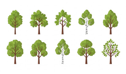 Obraz premium Collection of Green Deciduous Trees Vector Illustration Set Isolated on White Background