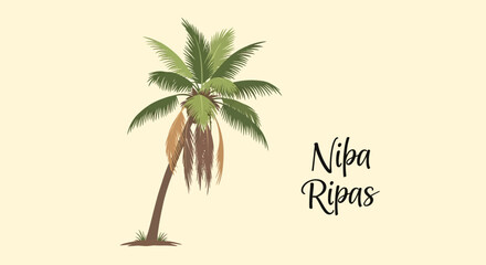 Obraz premium Nipa palm tree with brown seed.