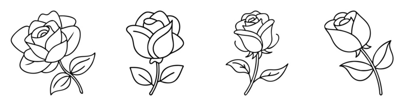 Outline drawing of four rose flowers with leaves on white background