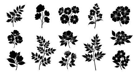 Fototapeta premium Hand-Drawn Peony and Lily Flower Sketch Set