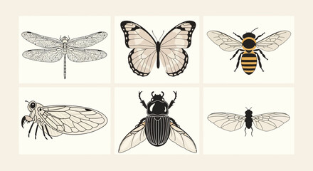 Six stylized insect illustrations arranged in a tworow threecolumn grid © Shalahuddin
