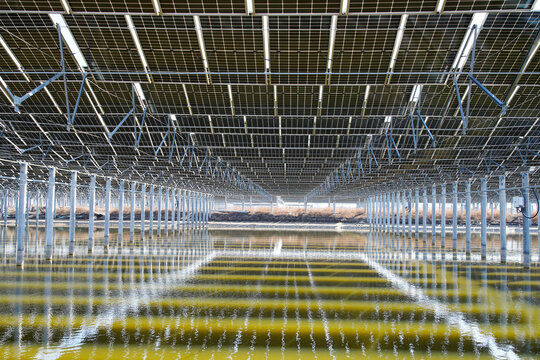 Solar photovoltaic panels and solar photovoltaic power generation systems