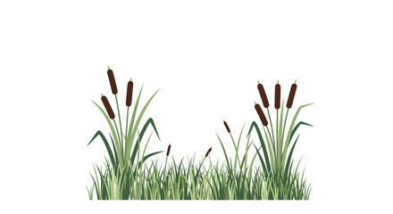 Two clusters of brown cattails with long green stalks and a dense bed of green grass are depicted in a clean, flat illustration on a white background.