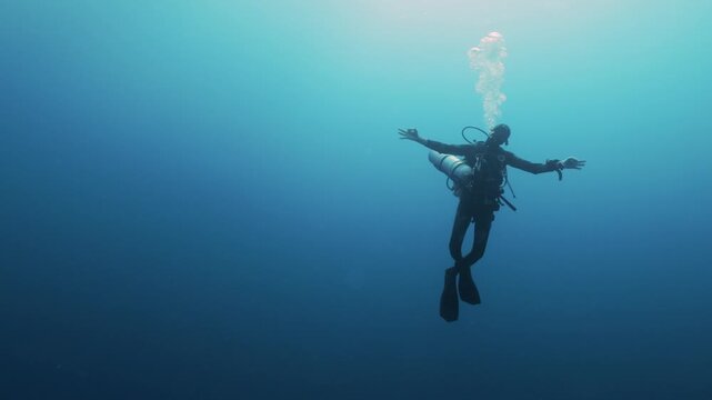 Silhouettes of scuba divers ascending toward the ocean surface in the Red Sea. Sunlight filters through clear blue water as the divers slowly rise, creating a dramatic underwater scene.