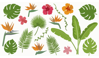 Exotic tropical leaves and flowers vector collection with hibiscus monstera and jungle botanical elements © BijoyChandra