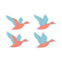 Naklejka premium Discover the Fascinating World of Seagulls Birds