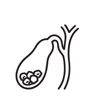 Gallbladder stones cholelithiasis line icon. Digestive organ vector illustration isolated on white background.