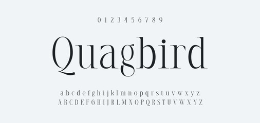 Luxury alphabet letters font and number. Typography elegant wedding classic lettering serif fonts decorative vintage retro concept. vector illustration