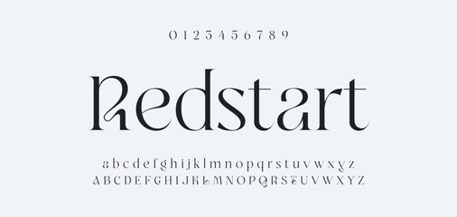 Fototapeta premium Luxury alphabet letters font and number. Typography elegant wedding classic lettering serif fonts decorative vintage retro concept. vector illustration