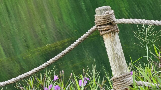 An  old rope tied and knot a wooden pole at shore of lake with reflection of the leaves.
