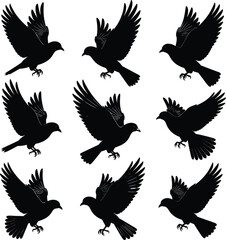 Obraz premium Black Crow and Raven Silhouette Vector Collection Featuring Birds in Flight with Spread Wings Isolated on White Background for Halloween Gothic and Nature Designs