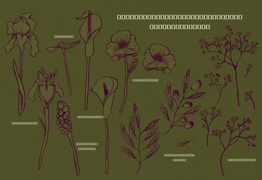 Hand-Drawn Shami Flora