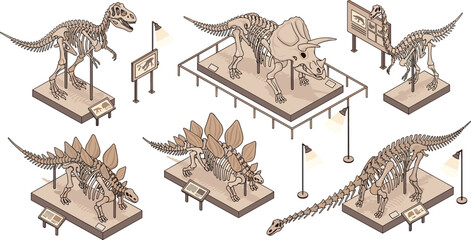 Dinosaur Skeleton Museum Exhibition Collection with Prehistoric Fossil Displays Tyrannosaurus Triceratops and Stegosaurus Bones Natural History Paleontology Vector Illustration Set © MD